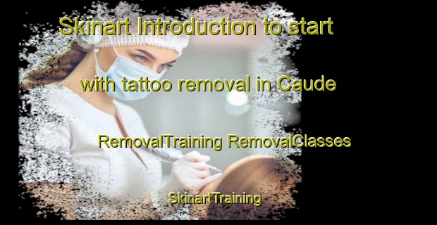 Skinart Introduction to start with tattoo removal in Caude | #RemovalTraining #RemovalClasses #SkinartTraining-Spain