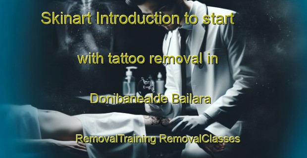 Skinart Introduction to start with tattoo removal in Donibanealde Bailara | #RemovalTraining #RemovalClasses #SkinartTraining-Spain