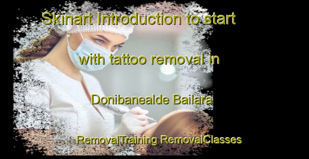 Skinart Introduction to start with tattoo removal in Donibanealde Bailara | #RemovalTraining #RemovalClasses #SkinartTraining-Spain