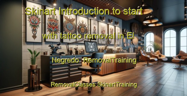 Skinart Introduction to start with tattoo removal in El Negredo | #RemovalTraining #RemovalClasses #SkinartTraining-Spain