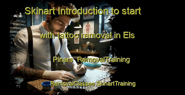 Skinart Introduction to start with tattoo removal in Els Pinars | #RemovalTraining #RemovalClasses #SkinartTraining-Spain