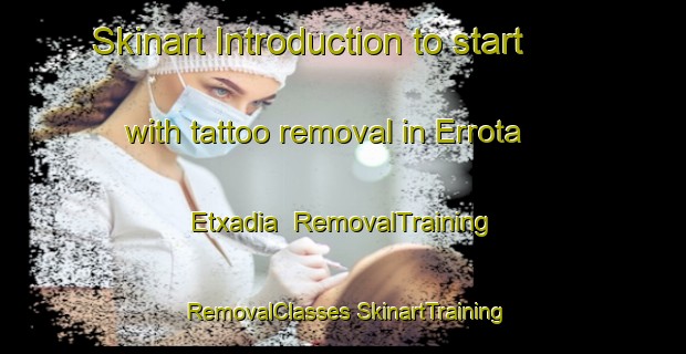 Skinart Introduction to start with tattoo removal in Errota Etxadia | #RemovalTraining #RemovalClasses #SkinartTraining-Spain