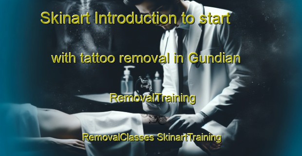 Skinart Introduction to start with tattoo removal in Gundian | #RemovalTraining #RemovalClasses #SkinartTraining-Spain