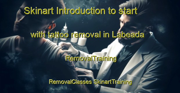 Skinart Introduction to start with tattoo removal in Labeada | #RemovalTraining #RemovalClasses #SkinartTraining-Spain