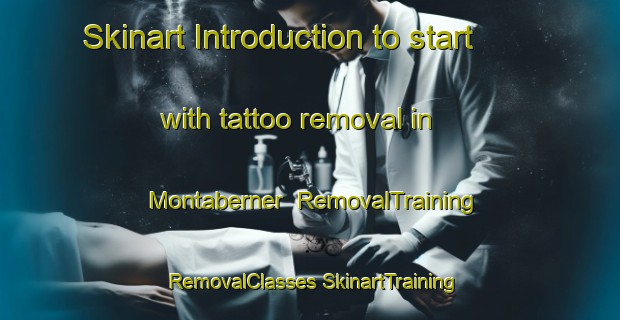 Skinart Introduction to start with tattoo removal in Montaberner | #RemovalTraining #RemovalClasses #SkinartTraining-Spain