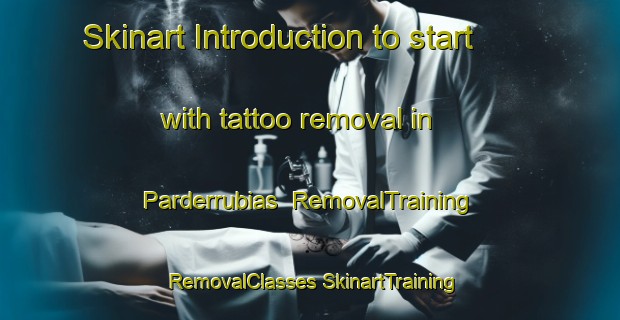 Skinart Introduction to start with tattoo removal in Parderrubias | #RemovalTraining #RemovalClasses #SkinartTraining-Spain