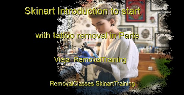 Skinart Introduction to start with tattoo removal in Parte Vieja | #RemovalTraining #RemovalClasses #SkinartTraining-Spain