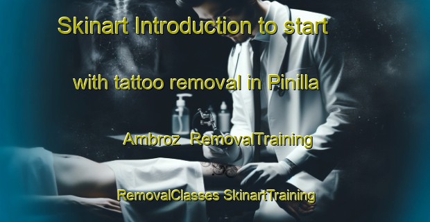 Skinart Introduction to start with tattoo removal in Pinilla Ambroz | #RemovalTraining #RemovalClasses #SkinartTraining-Spain