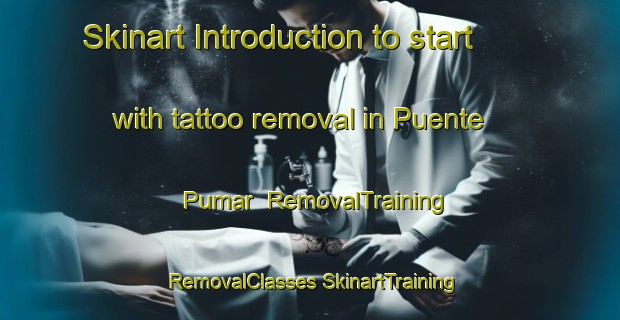 Skinart Introduction to start with tattoo removal in Puente Pumar | #RemovalTraining #RemovalClasses #SkinartTraining-Spain