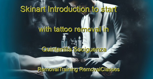 Skinart Introduction to start with tattoo removal in Quintanilla Sociguenza | #RemovalTraining #RemovalClasses #SkinartTraining-Spain