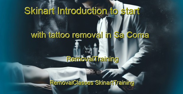 Skinart Introduction to start with tattoo removal in Sa Coma | #RemovalTraining #RemovalClasses #SkinartTraining-Spain