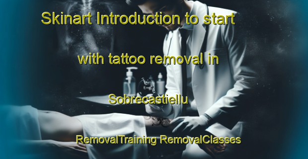 Skinart Introduction to start with tattoo removal in Sobrecastiellu | #RemovalTraining #RemovalClasses #SkinartTraining-Spain