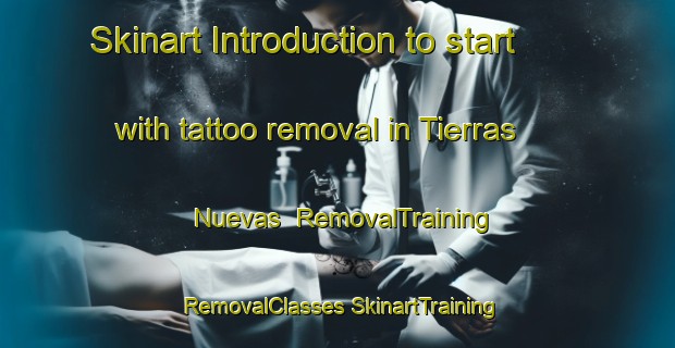 Skinart Introduction to start with tattoo removal in Tierras Nuevas | #RemovalTraining #RemovalClasses #SkinartTraining-Spain