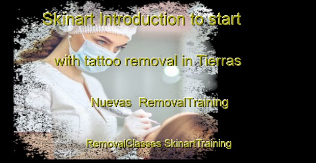 Skinart Introduction to start with tattoo removal in Tierras Nuevas | #RemovalTraining #RemovalClasses #SkinartTraining-Spain