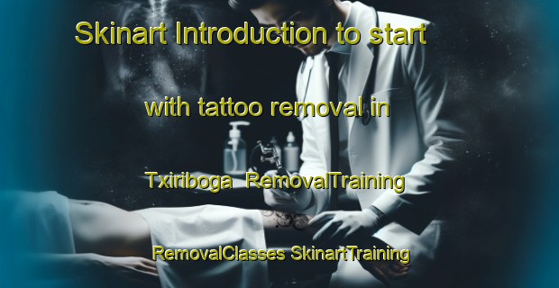 Skinart Introduction to start with tattoo removal in Txiriboga | #RemovalTraining #RemovalClasses #SkinartTraining-Spain