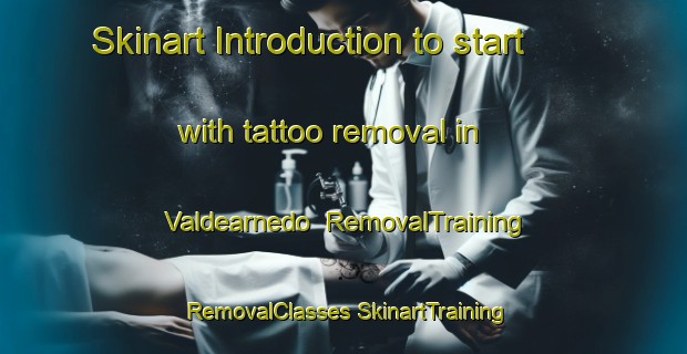 Skinart Introduction to start with tattoo removal in Valdearnedo | #RemovalTraining #RemovalClasses #SkinartTraining-Spain