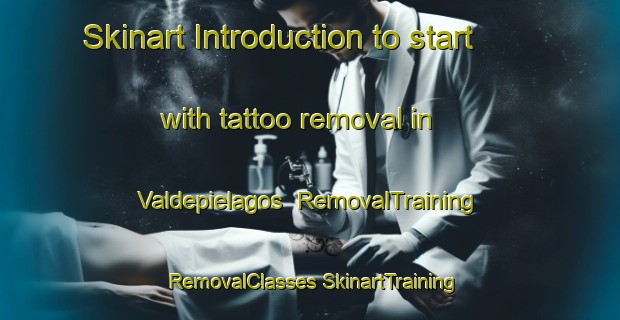 Skinart Introduction to start with tattoo removal in Valdepielagos | #RemovalTraining #RemovalClasses #SkinartTraining-Spain