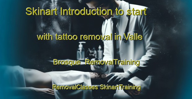 Skinart Introduction to start with tattoo removal in Valle Brosque | #RemovalTraining #RemovalClasses #SkinartTraining-Spain