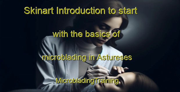 Skinart Introduction to start with the basics of microblading in Astureses | MicrobladingTraining | MicrobladingClasses | SkinartTraining-Spain