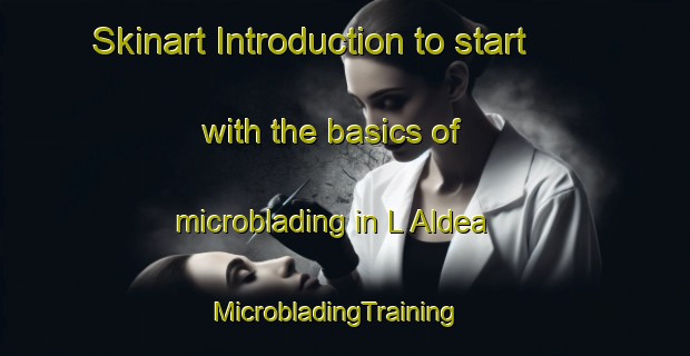 Skinart Introduction to start with the basics of microblading in L Aldea | MicrobladingTraining | MicrobladingClasses | SkinartTraining-Spain