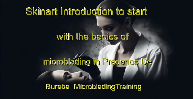 Skinart Introduction to start with the basics of microblading in Pradanos De Bureba | MicrobladingTraining | MicrobladingClasses | SkinartTraining-Spain