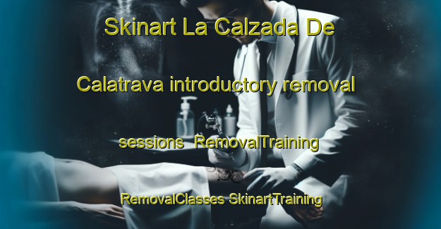 Skinart La Calzada De Calatrava introductory removal sessions | #RemovalTraining #RemovalClasses #SkinartTraining-Spain