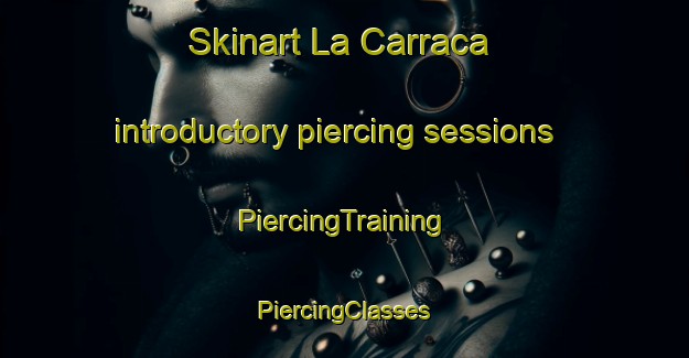 Skinart La Carraca introductory piercing sessions | #PiercingTraining #PiercingClasses #SkinartTraining-Spain