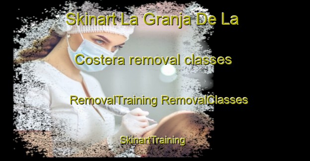 Skinart La Granja De La Costera removal classes | #RemovalTraining #RemovalClasses #SkinartTraining-Spain