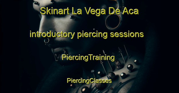 Skinart La Vega De Aca introductory piercing sessions | #PiercingTraining #PiercingClasses #SkinartTraining-Spain