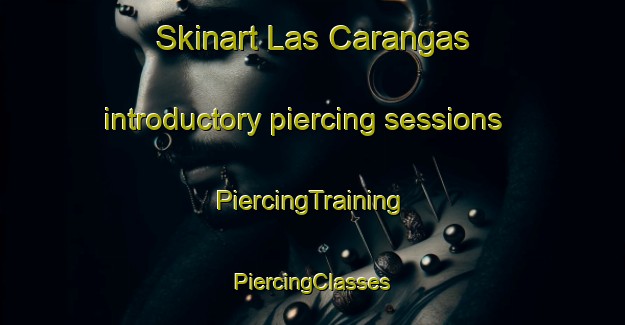 Skinart Las Carangas introductory piercing sessions | #PiercingTraining #PiercingClasses #SkinartTraining-Spain