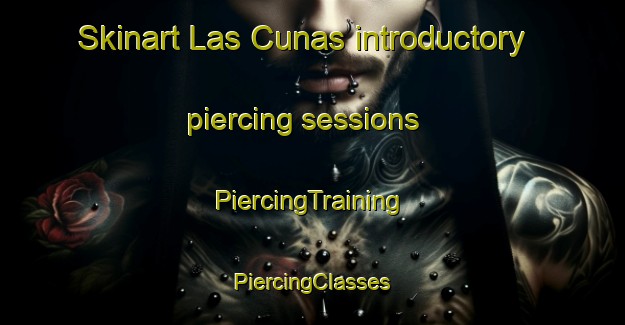 Skinart Las Cunas introductory piercing sessions | #PiercingTraining #PiercingClasses #SkinartTraining-Spain