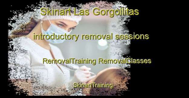 Skinart Las Gorgollitas introductory removal sessions | #RemovalTraining #RemovalClasses #SkinartTraining-Spain