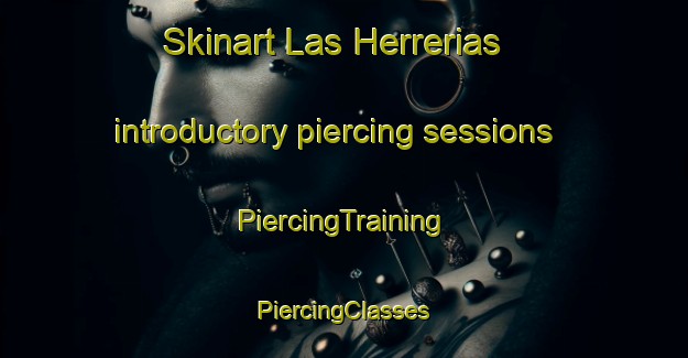 Skinart Las Herrerias introductory piercing sessions | #PiercingTraining #PiercingClasses #SkinartTraining-Spain