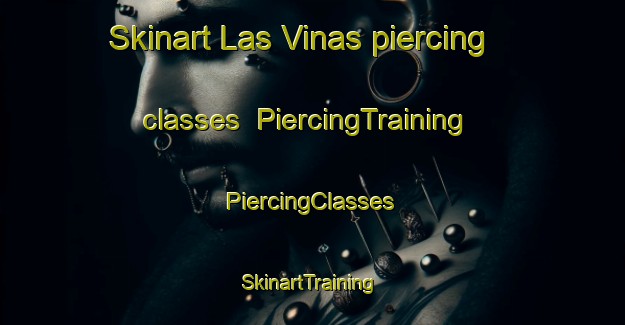 Skinart Las Vinas piercing classes | #PiercingTraining #PiercingClasses #SkinartTraining-Spain