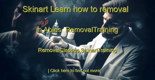 Skinart Learn how to removal in Ables | #RemovalTraining #RemovalClasses #SkinartTraining-Spain