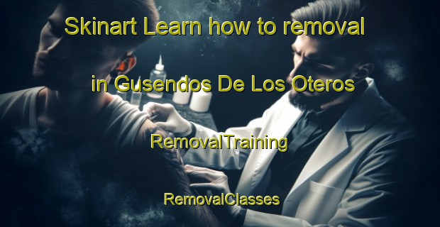 Skinart Learn how to removal in Gusendos De Los Oteros | RemovalTraining | RemovalClasses | SkinartTraining-Spain