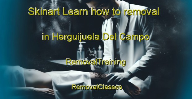 Skinart Learn how to removal in Herguijuela Del Campo | RemovalTraining | RemovalClasses | SkinartTraining-Spain