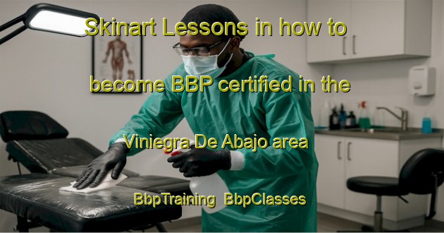Skinart Lessons in how to become BBP certified in the Viniegra De Abajo area | BbpTraining | BbpClasses | SkinartTraining-Spain