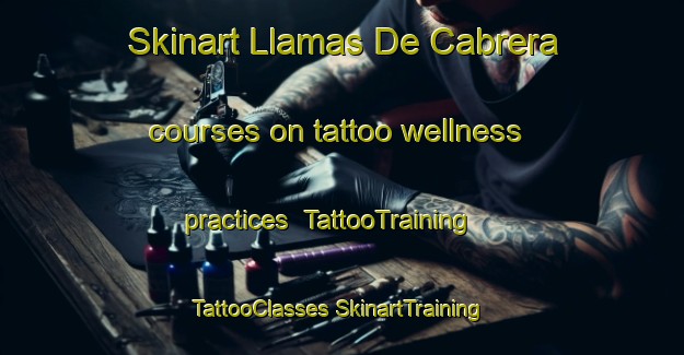 Skinart Llamas De Cabrera courses on tattoo wellness practices | #TattooTraining #TattooClasses #SkinartTraining-Spain