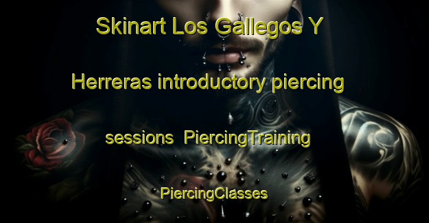 Skinart Los Gallegos Y Herreras introductory piercing sessions | #PiercingTraining #PiercingClasses #SkinartTraining-Spain