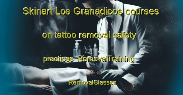 Skinart Los Granadicos courses on tattoo removal safety practices | RemovalTraining | RemovalClasses | SkinartTraining-Spain