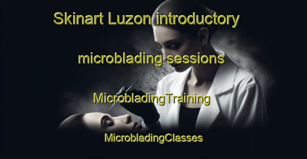 Skinart Luzon introductory microblading sessions | #MicrobladingTraining #MicrobladingClasses #SkinartTraining-Spain