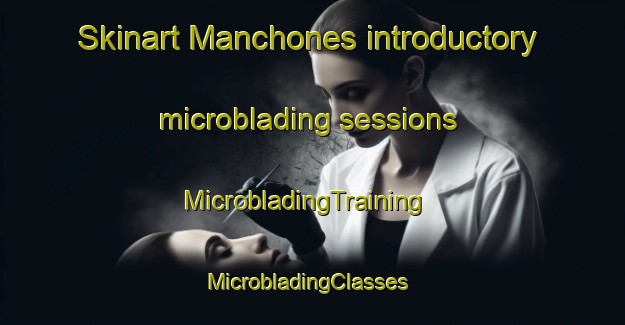 Skinart Manchones introductory microblading sessions | MicrobladingTraining | MicrobladingClasses | SkinartTraining-Spain
