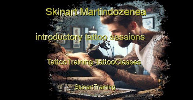 Skinart Martindozenea introductory tattoo sessions | #TattooTraining #TattooClasses #SkinartTraining-Spain