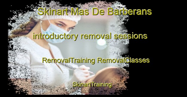 Skinart Mas De Barberans introductory removal sessions | #RemovalTraining #RemovalClasses #SkinartTraining-Spain