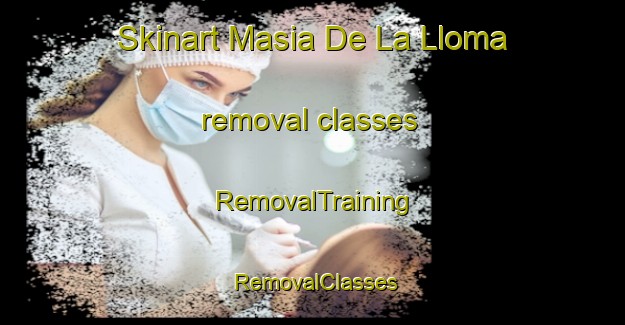Skinart Masia De La Lloma removal classes | RemovalTraining | RemovalClasses | SkinartTraining-Spain