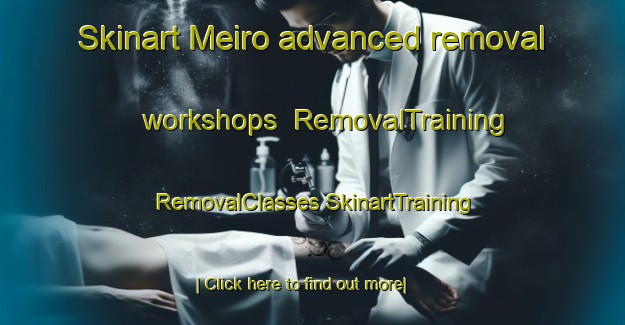 Skinart Meiro advanced removal workshops | #RemovalTraining #RemovalClasses #SkinartTraining-Spain