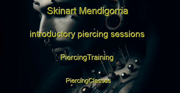 Skinart Mendigorria introductory piercing sessions | PiercingTraining | PiercingClasses | SkinartTraining-Spain