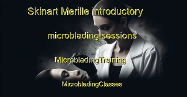 Skinart Merille introductory microblading sessions | MicrobladingTraining | MicrobladingClasses | SkinartTraining-Spain