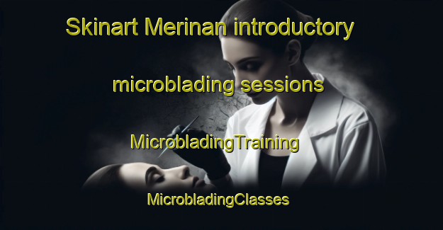 Skinart Merinan introductory microblading sessions | MicrobladingTraining | MicrobladingClasses | SkinartTraining-Spain